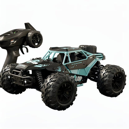 Gallopish Storm Pro 1:16 RC Car 2.4G High speed