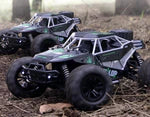 Gallopish Storm Pro 1:16 RC Car 2.4G High speed
